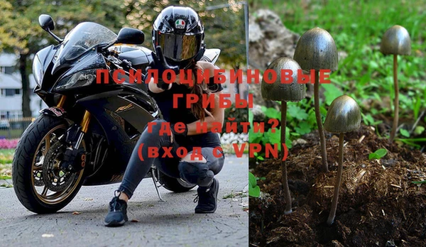 мет Протвино