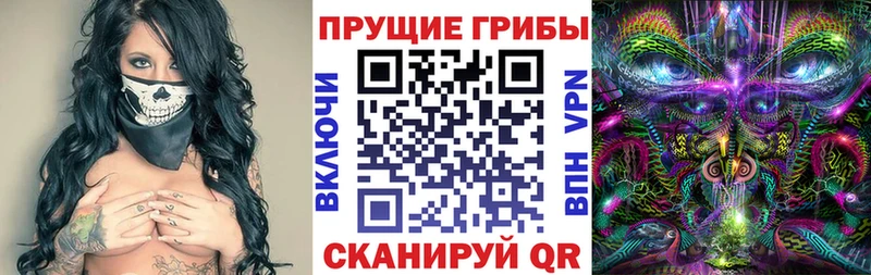 Галлюциногенные грибы Psilocybine cubensis  Трёхгорный 